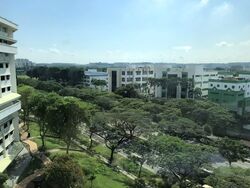 Blk 241 Hougang Heights (Hougang), HDB 4 Rooms #554746731